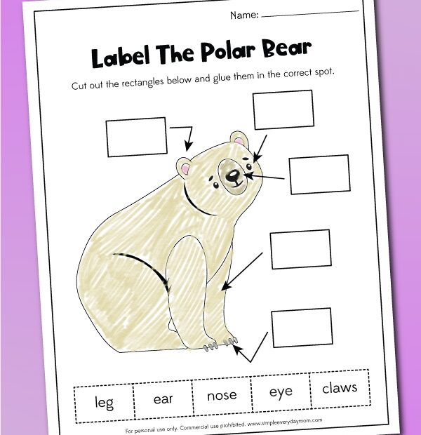 Free Printable Polar Bear Worksheets For Kids