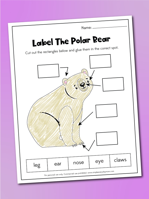 free printable polar bear activities