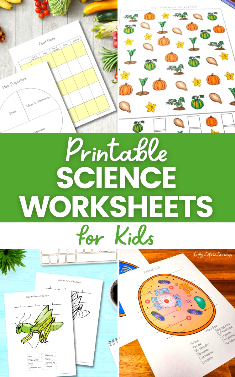 Free Printable Science Worksheets SKOOLGO Worksheets Library