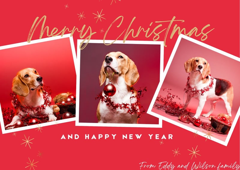Free To Edit And Print Dog Christmas Card Templates Canva
