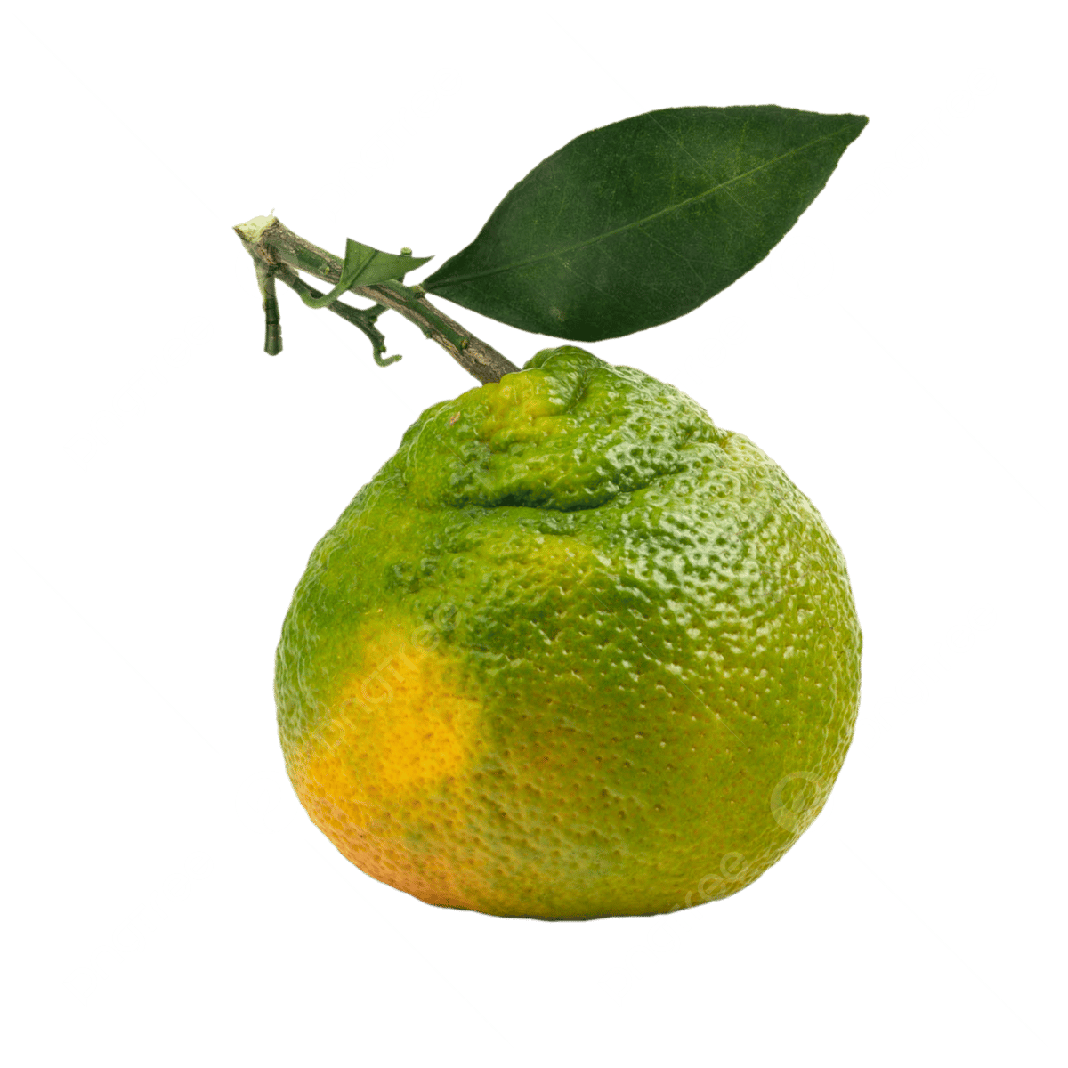 ugly fruit picture