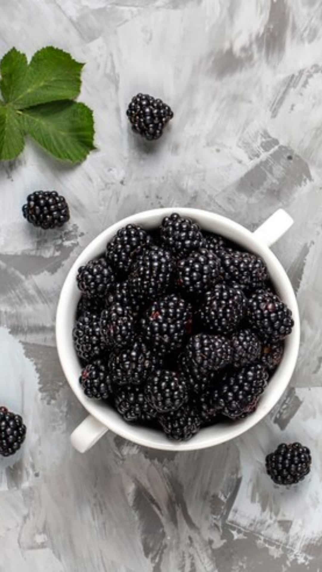 blackberry pictures fruit