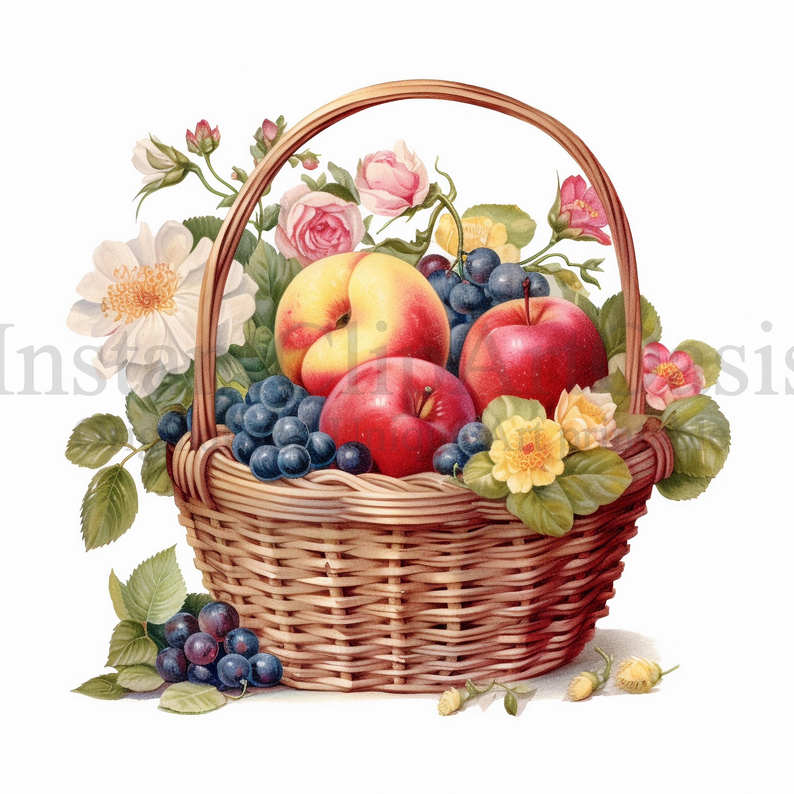 Fruit Basket Clipart 10 High Quality Jpgs Nursery Art Card 
