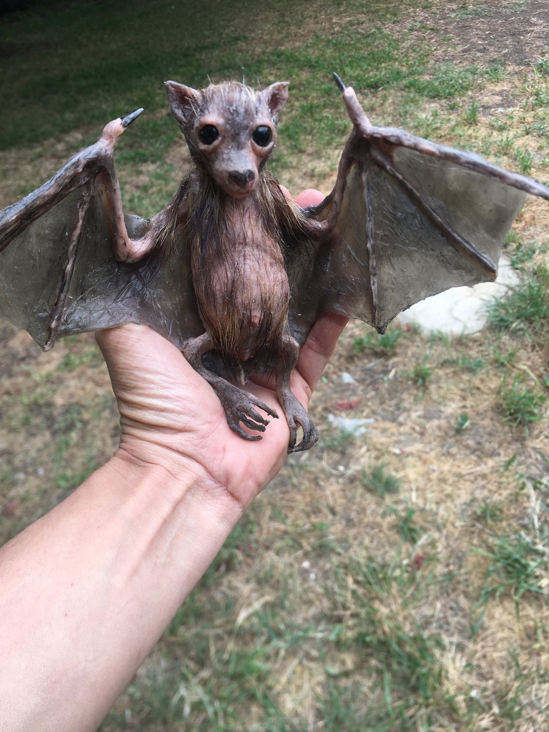 Fruit Bat Etsy