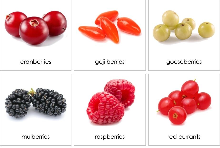 Fruit Berries 01 AMI Digital