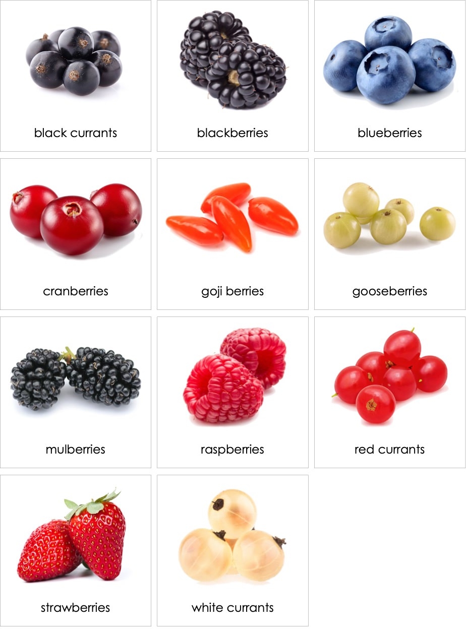 Fruit Berries 01 AMI Digital