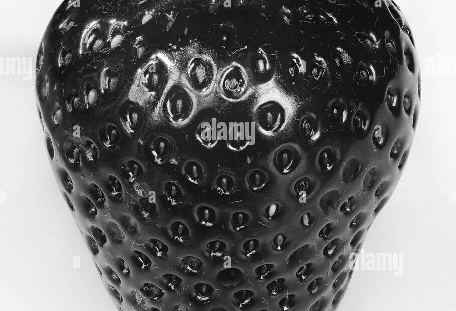 Fruit Black And White Stock Photos U0026 Images Alamy