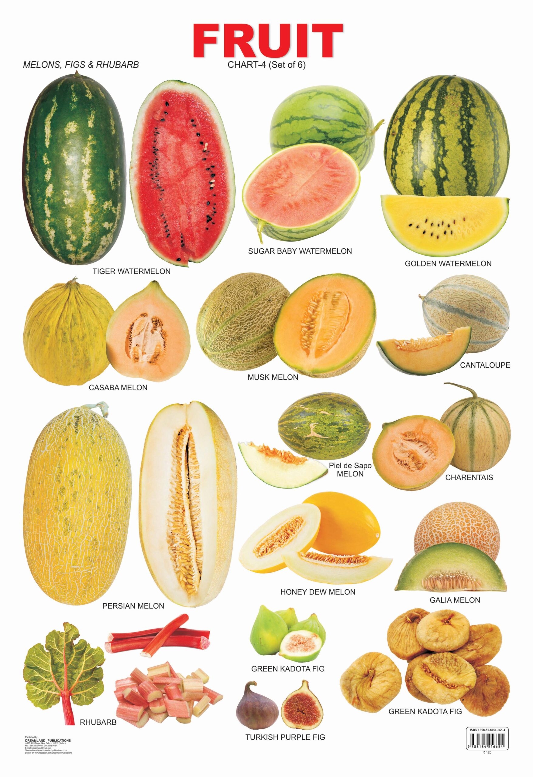 fruit chart with pictures