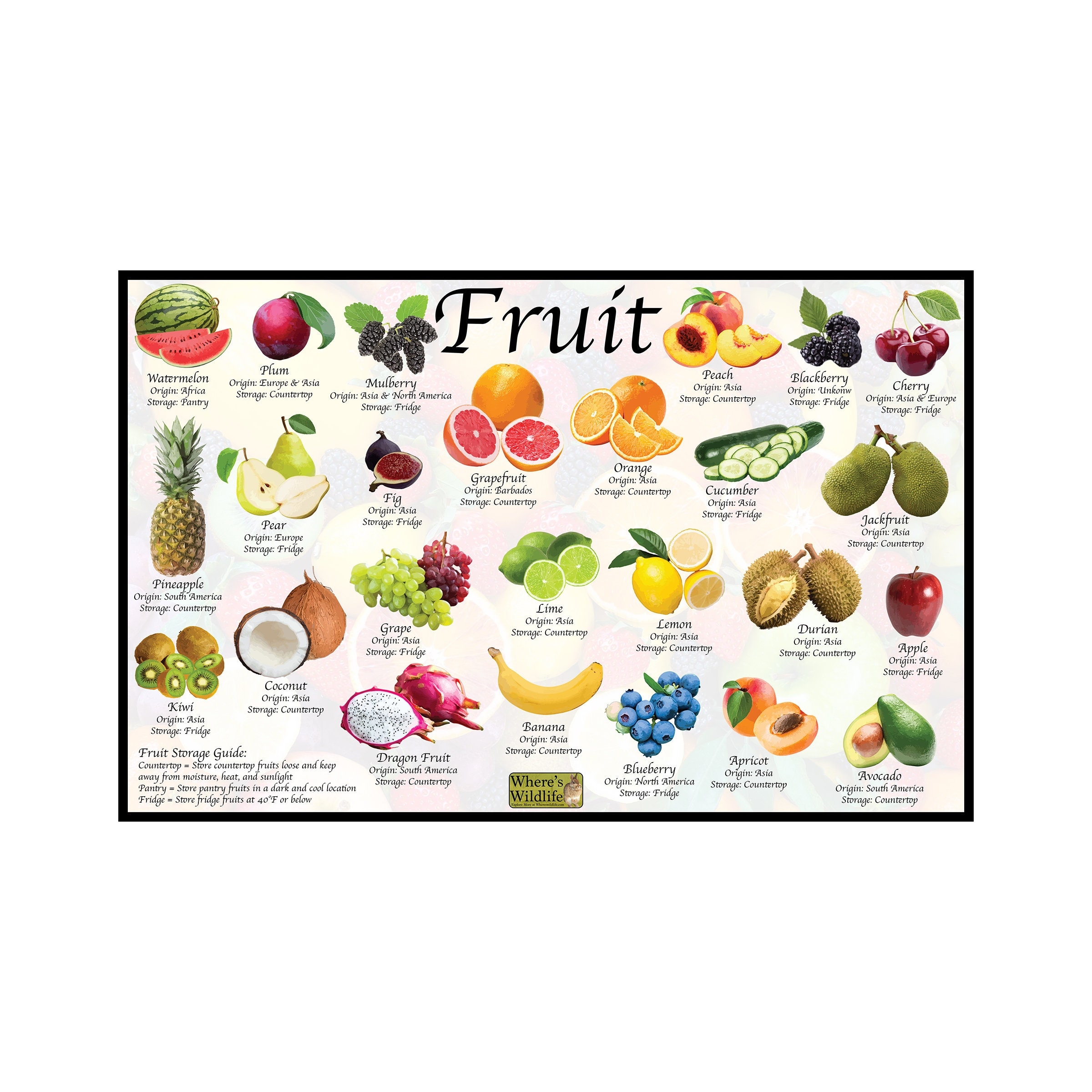 fruit chart with picture