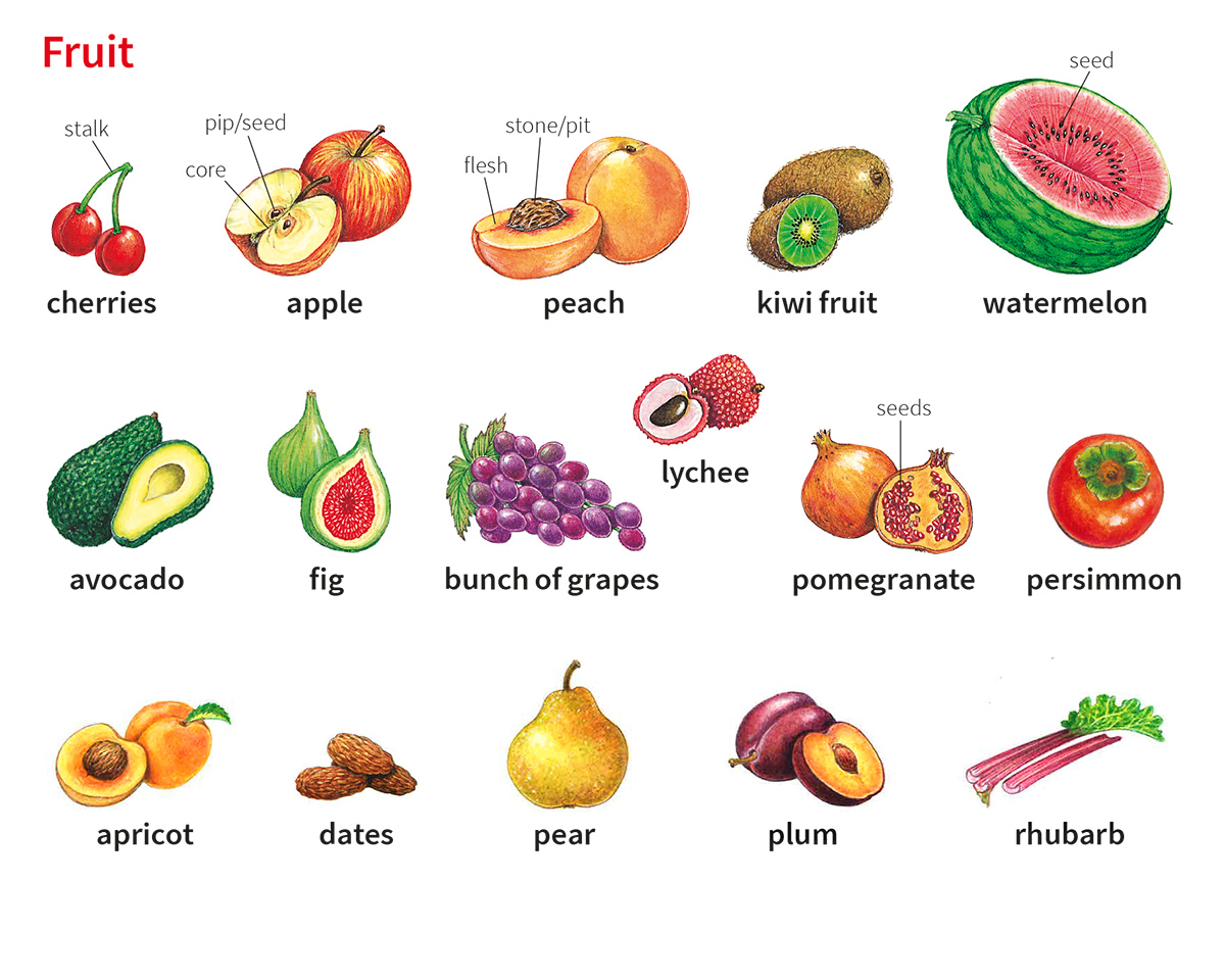 Fruit Noun Definition Pictures Pronunciation And Usage Notes Oxford Advanced Learner s Dictionary At OxfordLearnersDictionaries