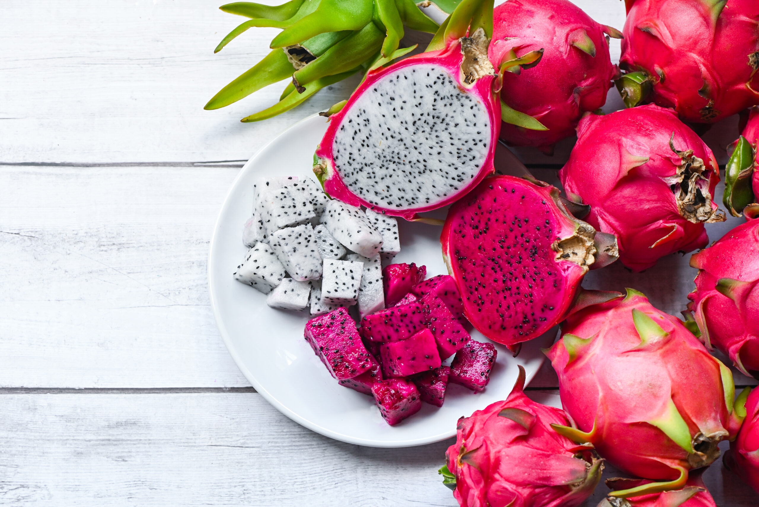 Fruit Production Part 7 Dragon Fruit ProAgri Media