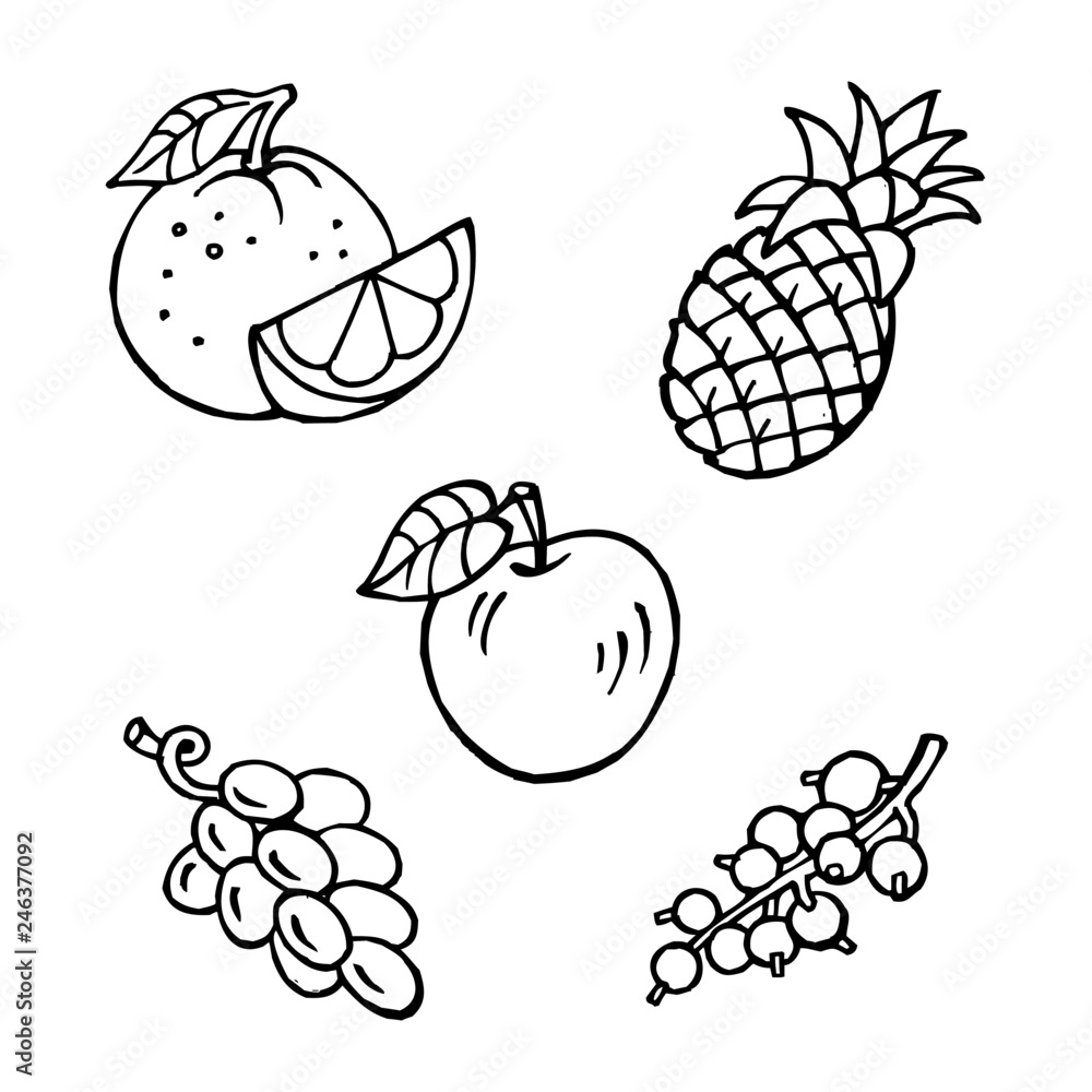 Fruit Set Apple Pineapple Orange Grapes Currant Black And 
