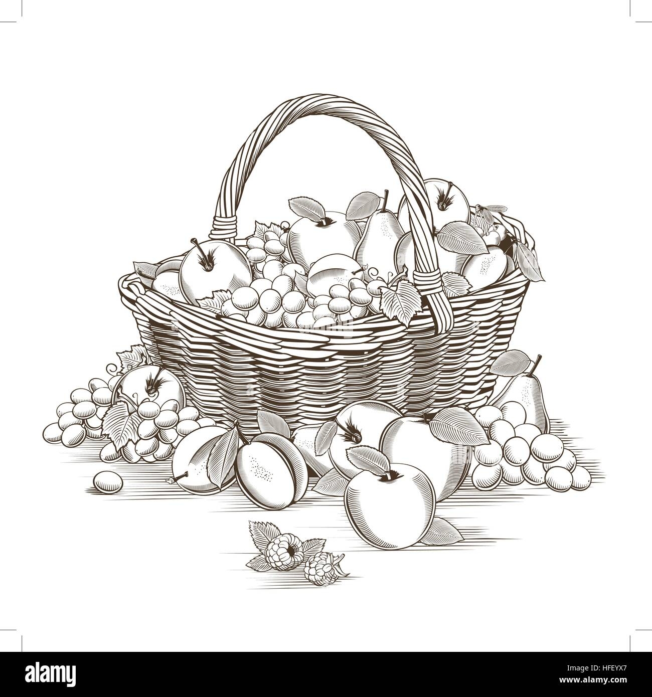 Fruits Basket In Woodcut Style Stock Vector Image U0026 Art Alamy