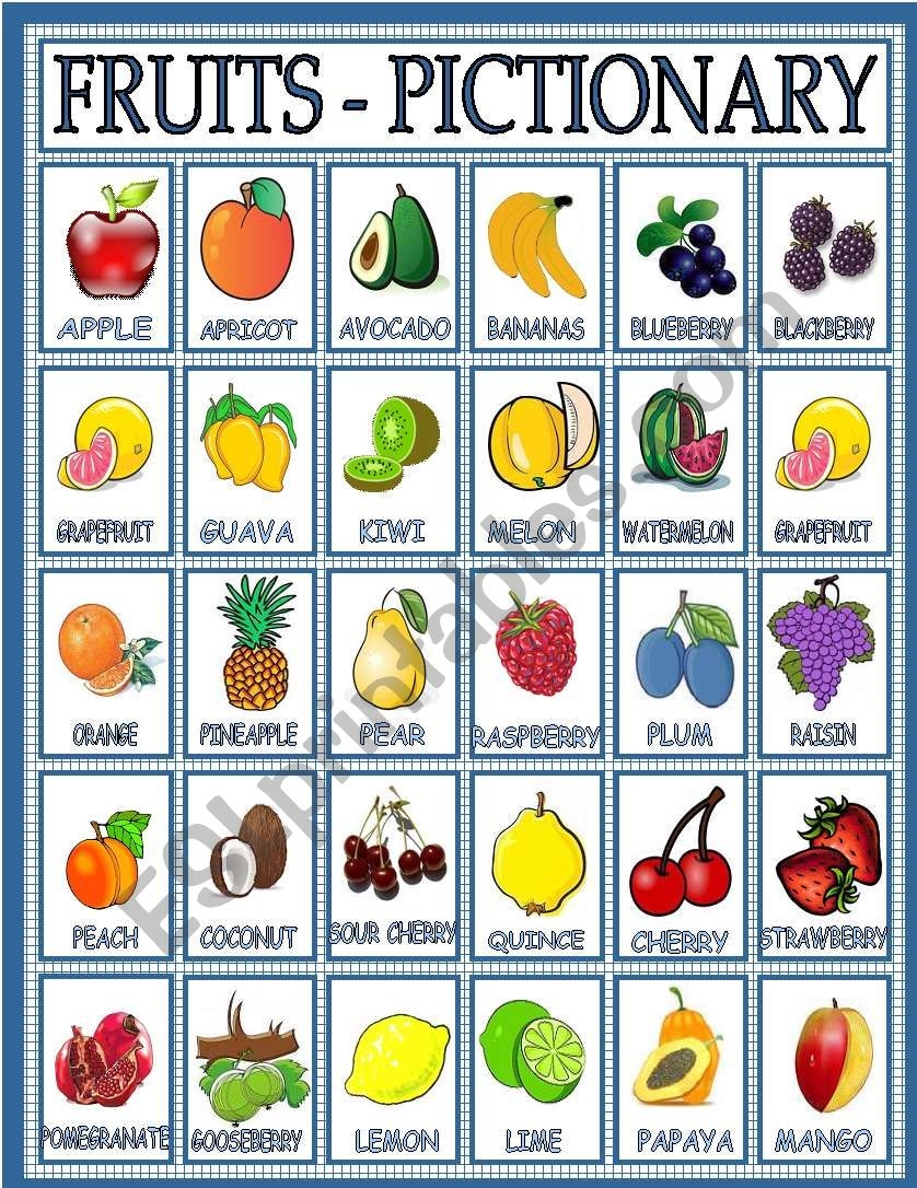 fruit picture dictionary