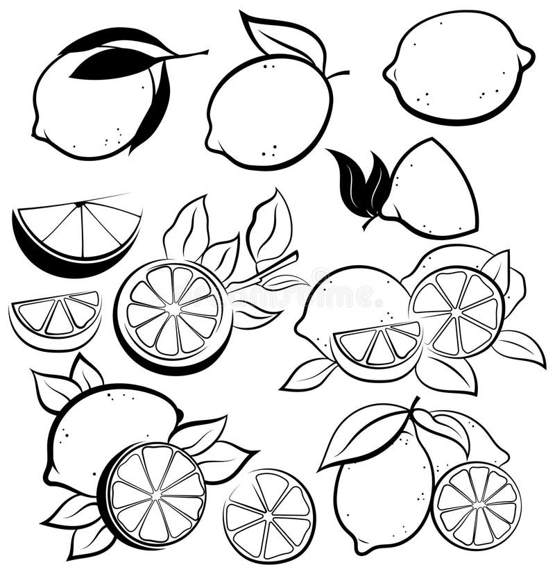 black and white picture of fruits