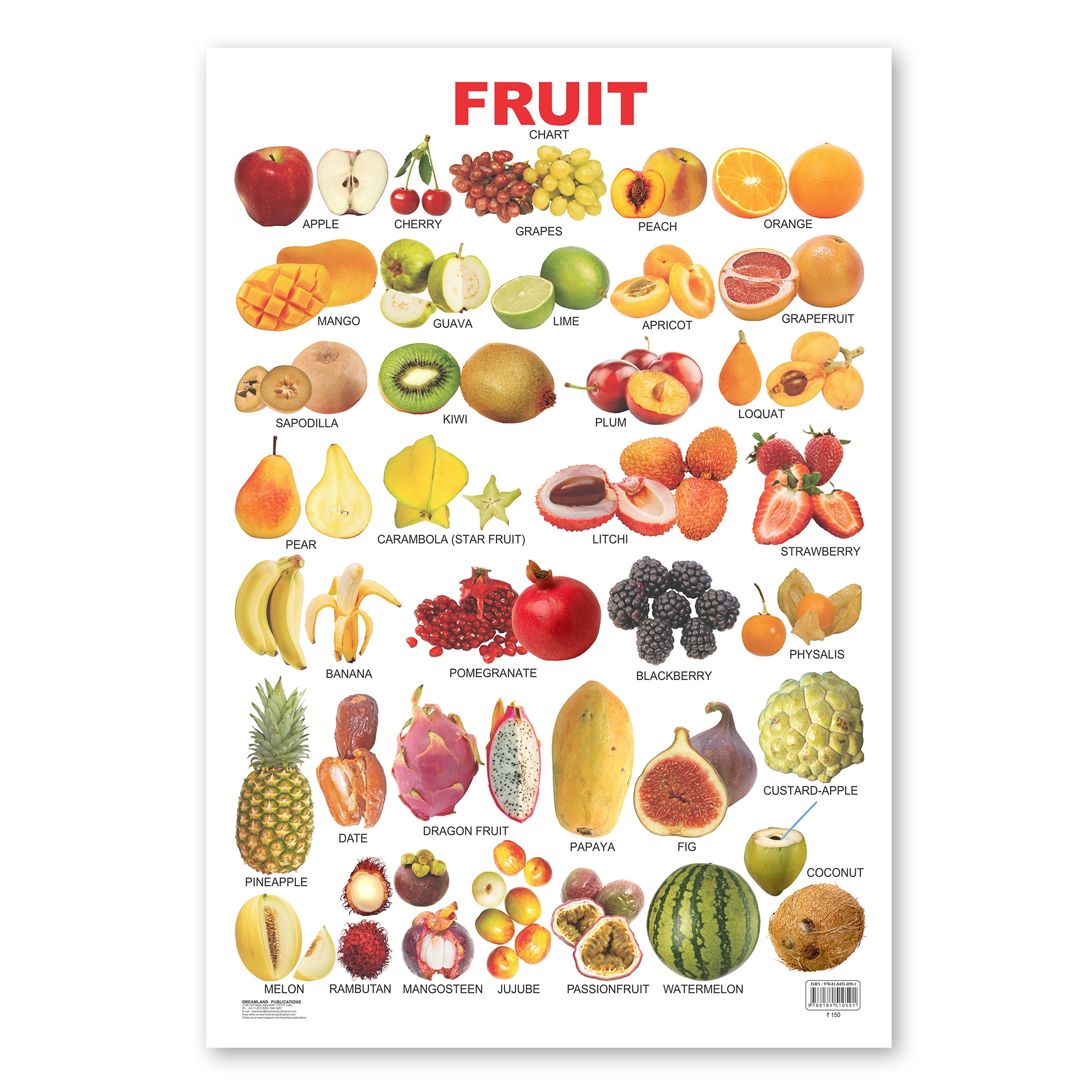 Fruits Laminated Wall Chart