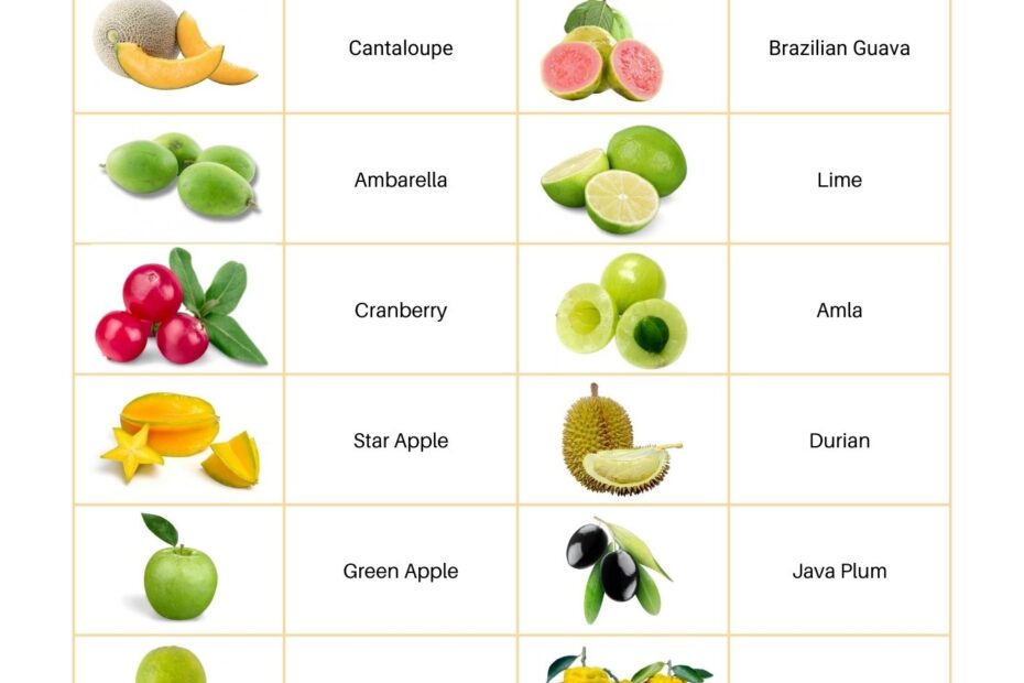 Fruits Names In English Yogiraj Study Notes