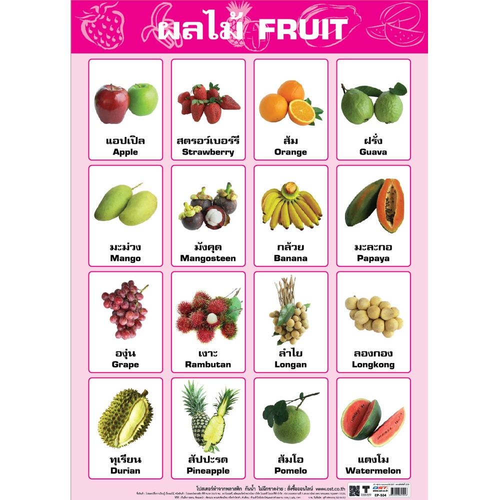Fruits Names In Thai English Educational Posters No 004 EP 504 EQ 504 OST 