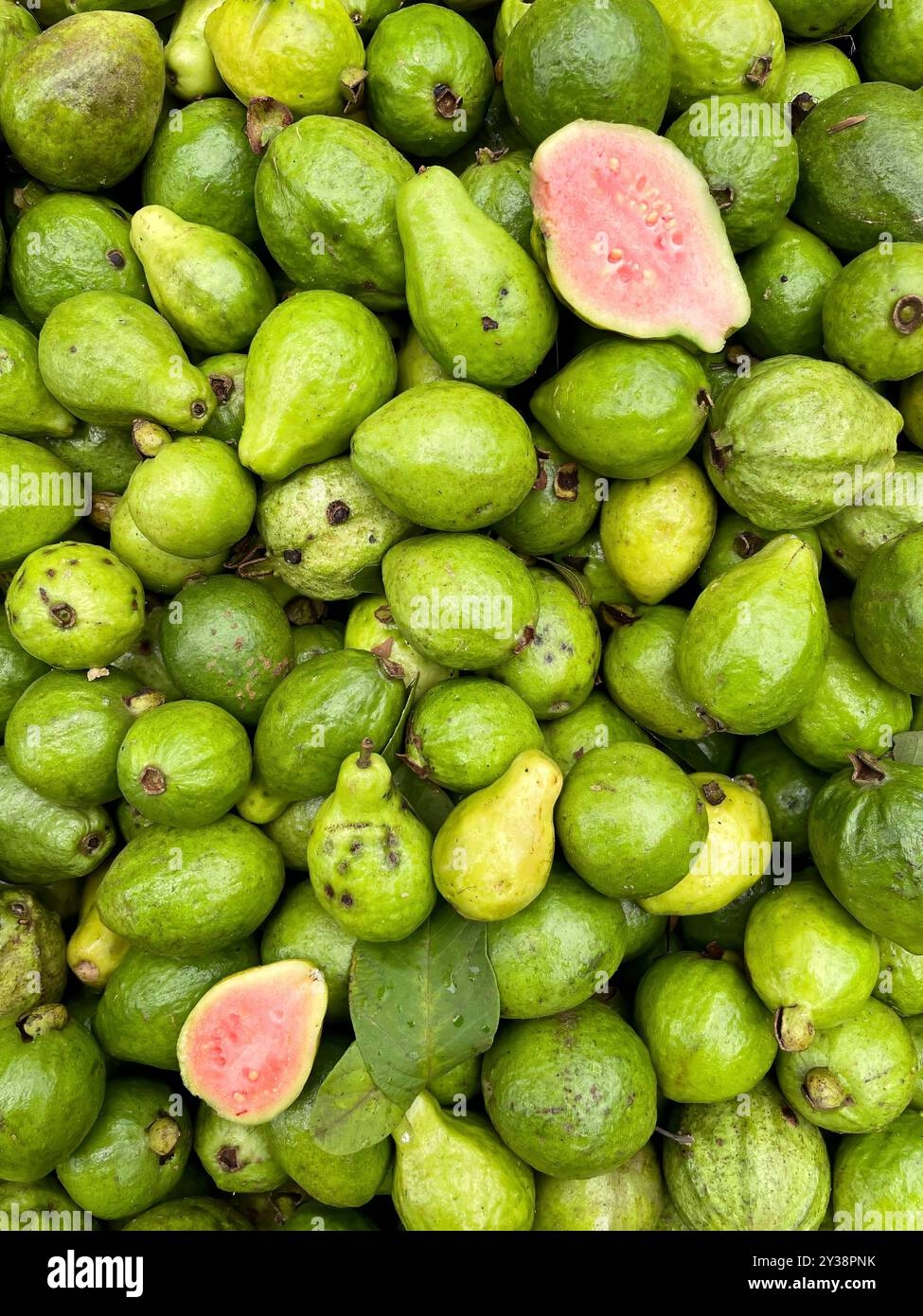 Fruits Of Bangladesh Hi res Stock Photography And Images Alamy