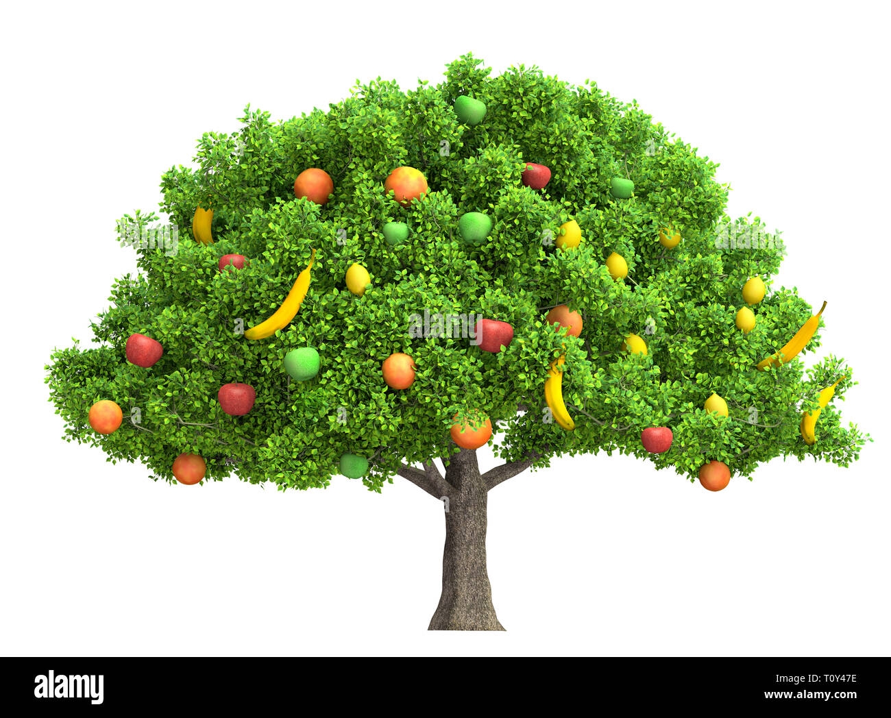 Fruits Tree Isolated On White 3D Illustration Stock Photo Alamy