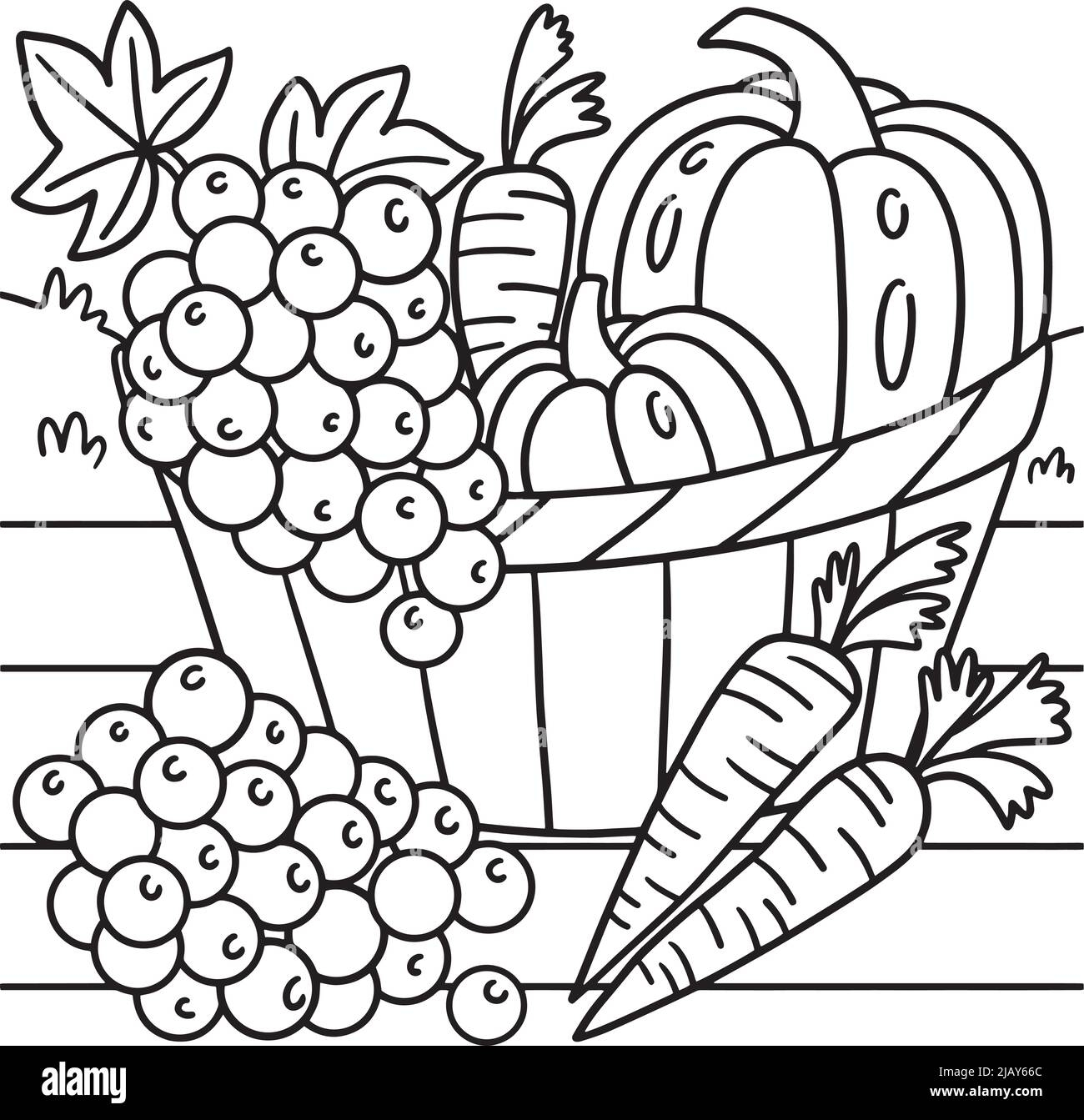Fruits Vegetables Coloring Book Hi res Stock Photography And 