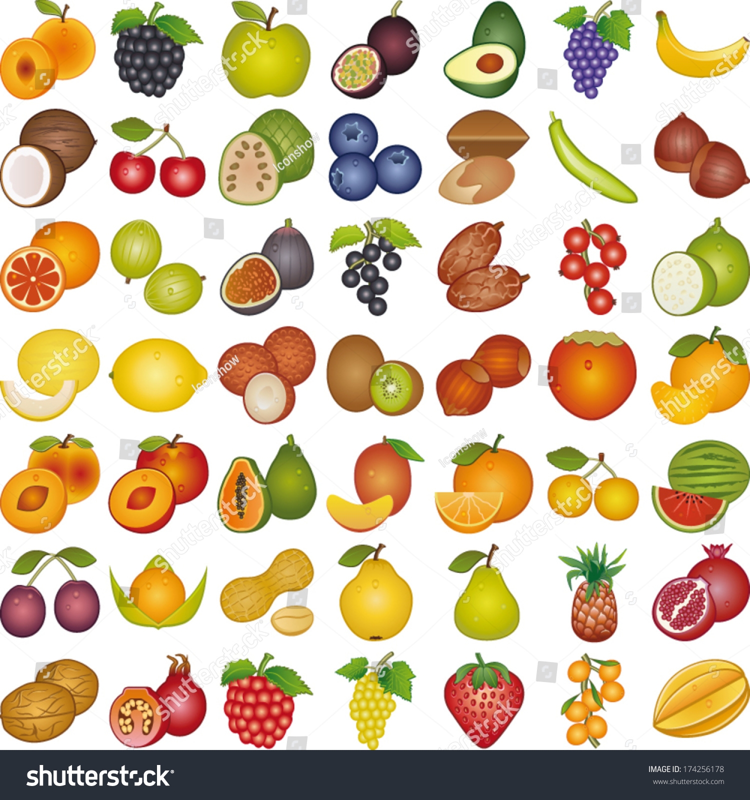 Fruits World Stock Vector Royalty Free 174256178 Shutterstock