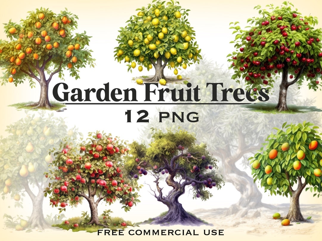 Garden Fruit Tree Clipart Farm Plants Images Bundle Summer U0026 Fall Country Art Transparent Background Fruit Trees Png Free Commercial Use Etsy