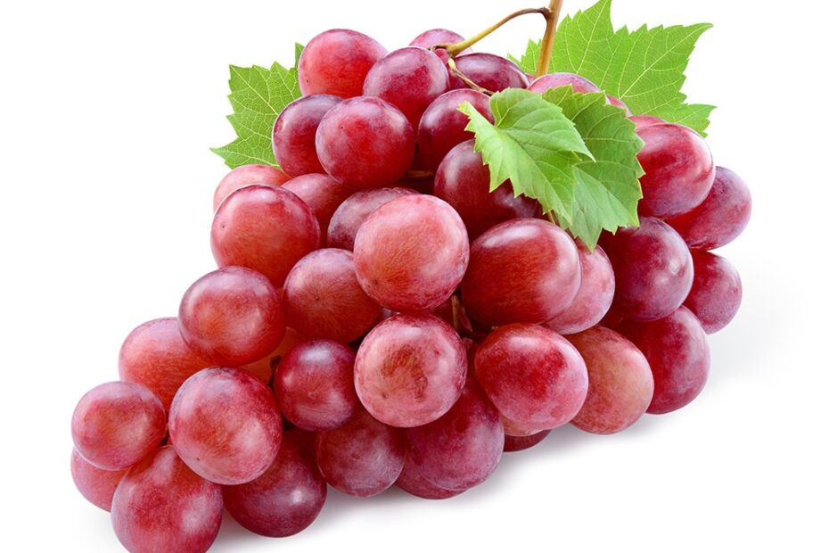 Grape Gala Fruit