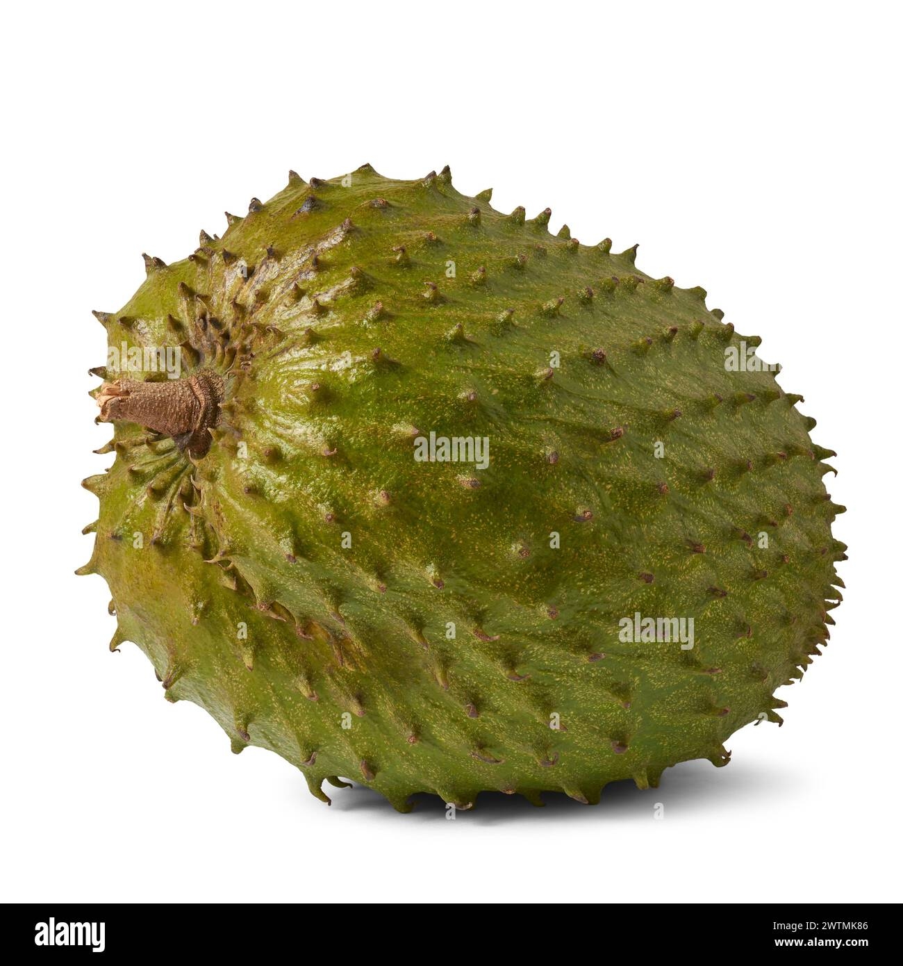 Green Spiky Fruit Hi res Stock Photography And Images Alamy