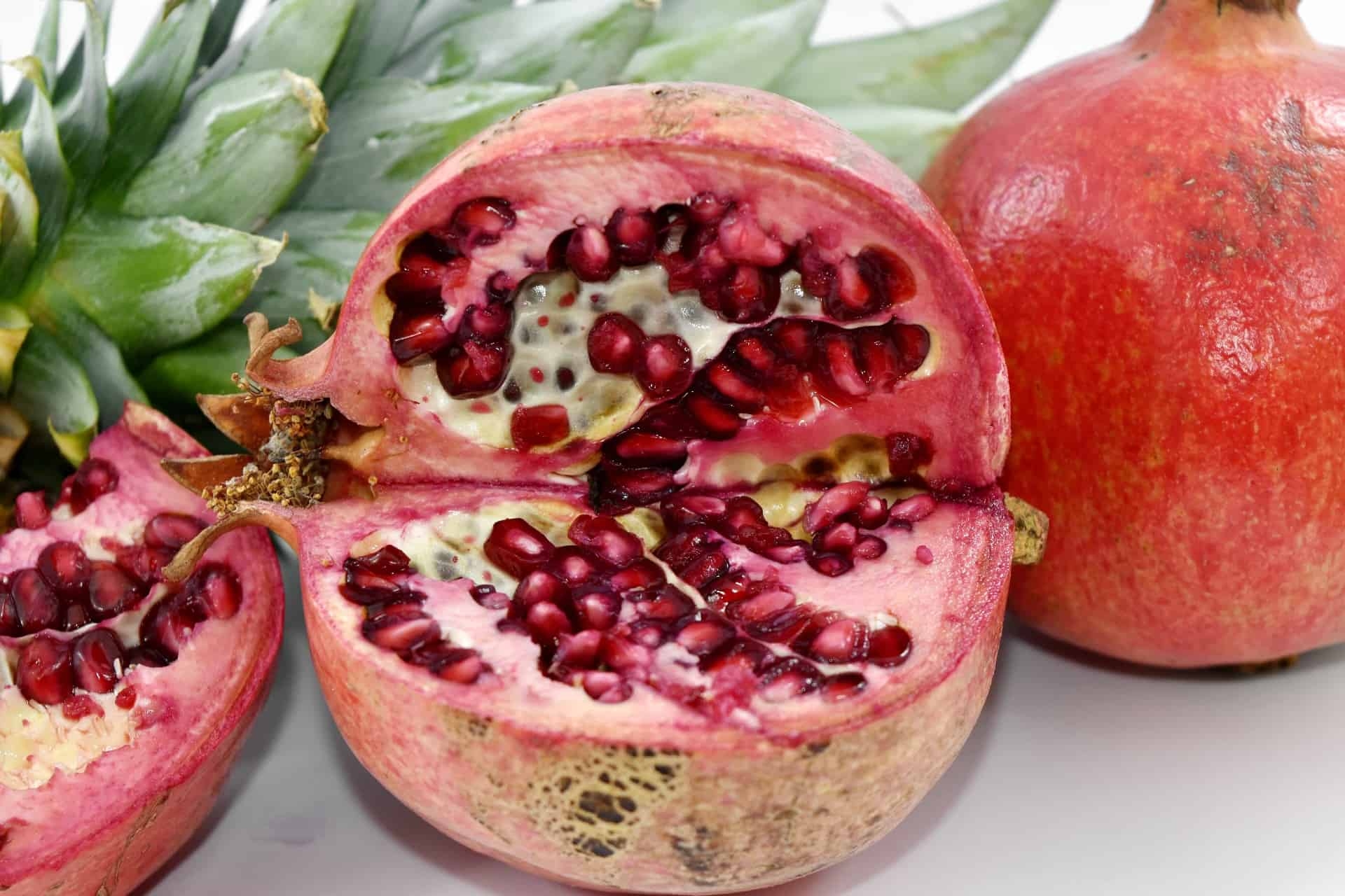 Growing Fruit Trees From Seeds Plantly