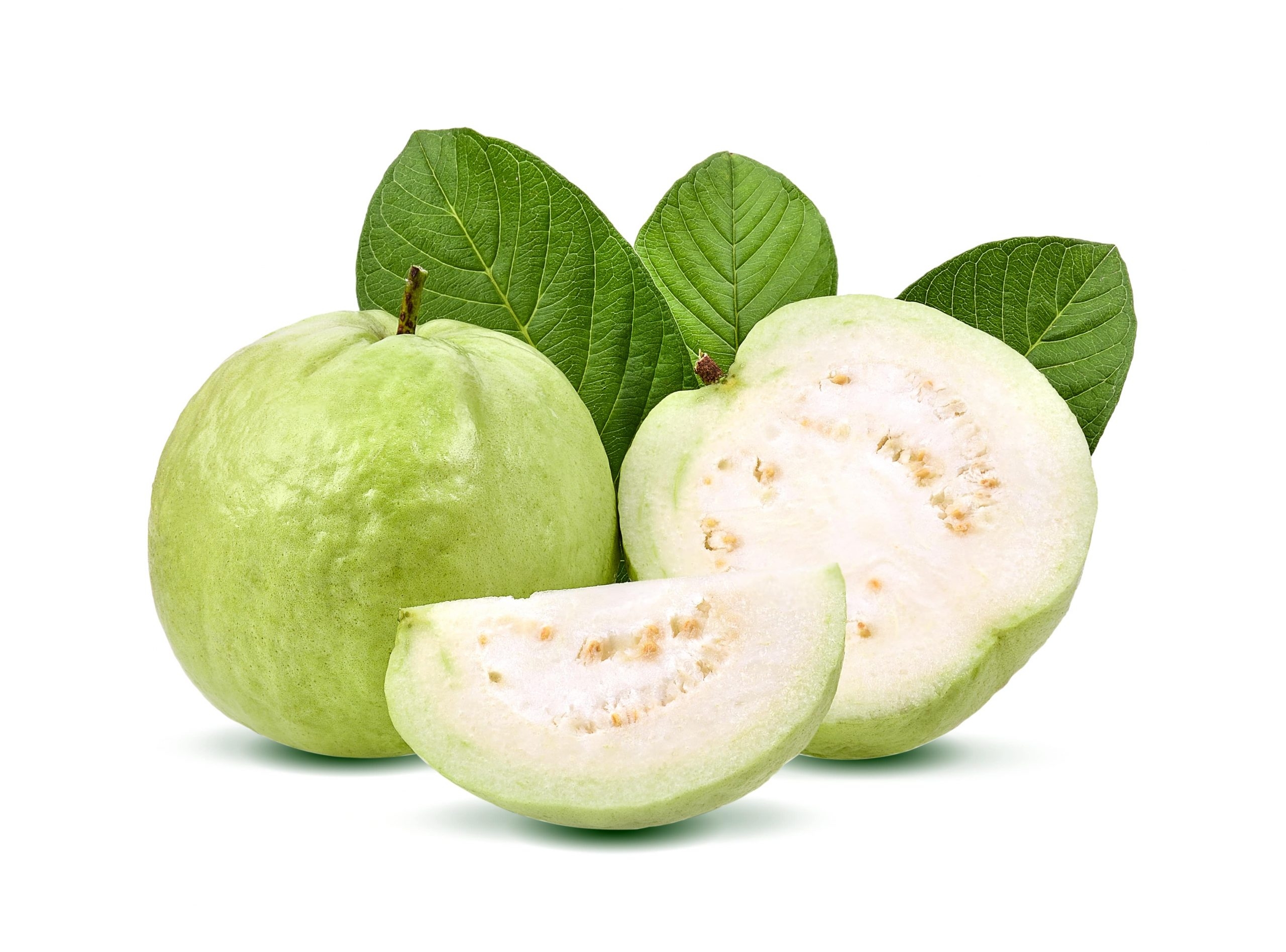 GUAVA