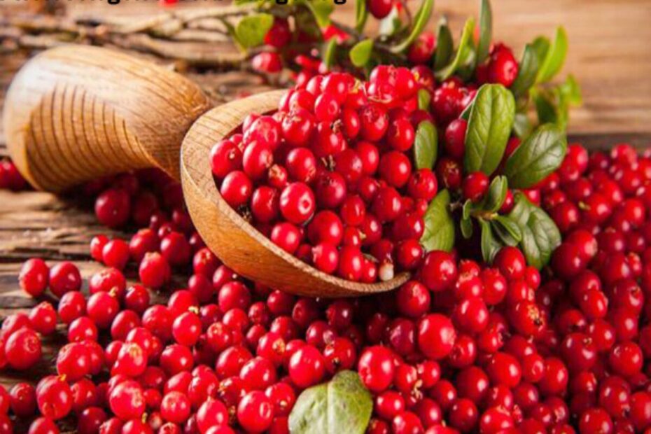 Health Benefits Of Cranberries Fruit Living In Well Being
