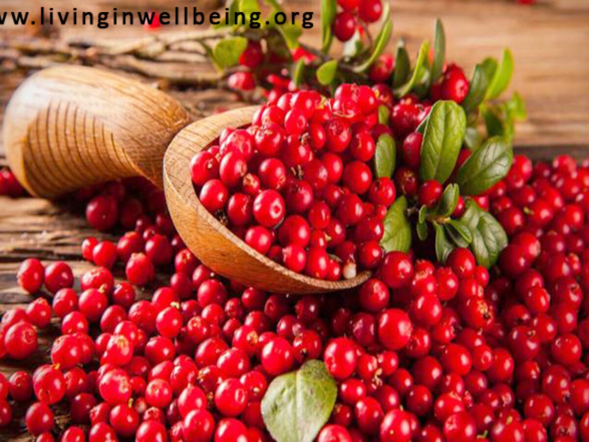 Health Benefits Of Cranberries Fruit Living In Well Being