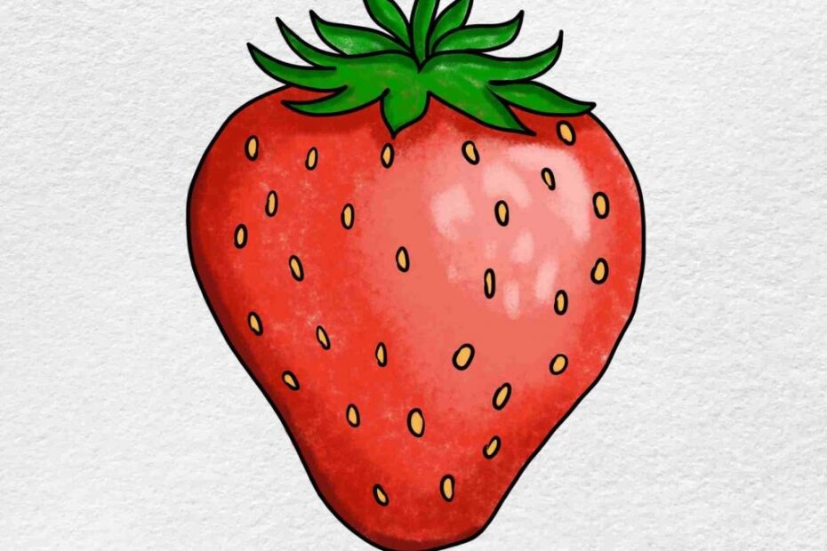 How To Draw Fruit HelloArtsy