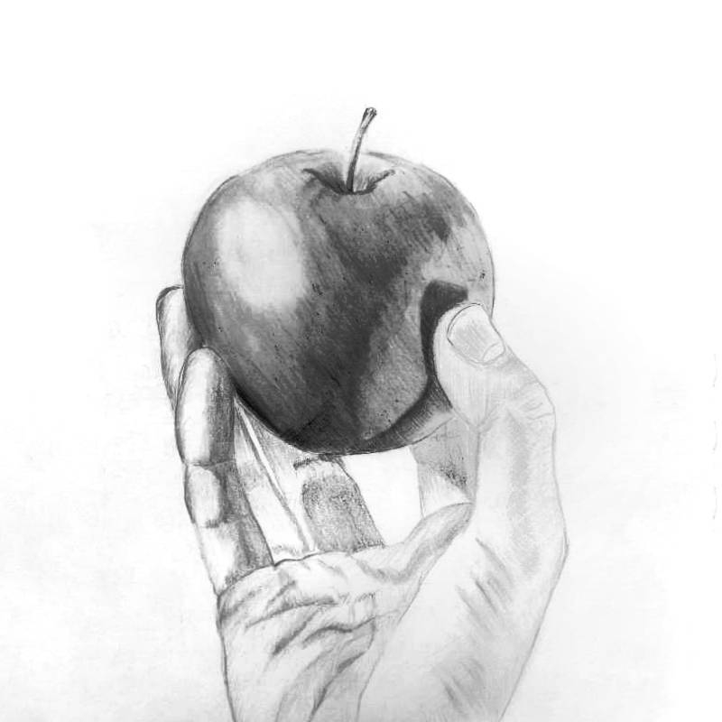 fruit picture drawing