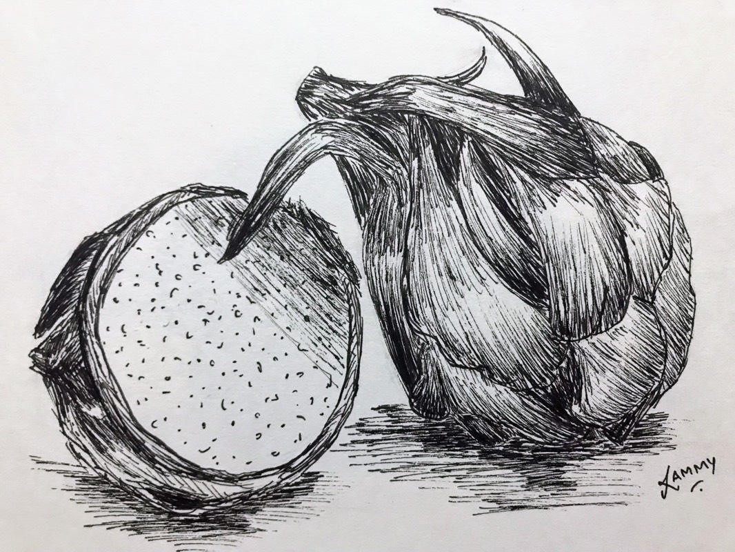 How To Draw Fruit Inspiration Sketch A Day