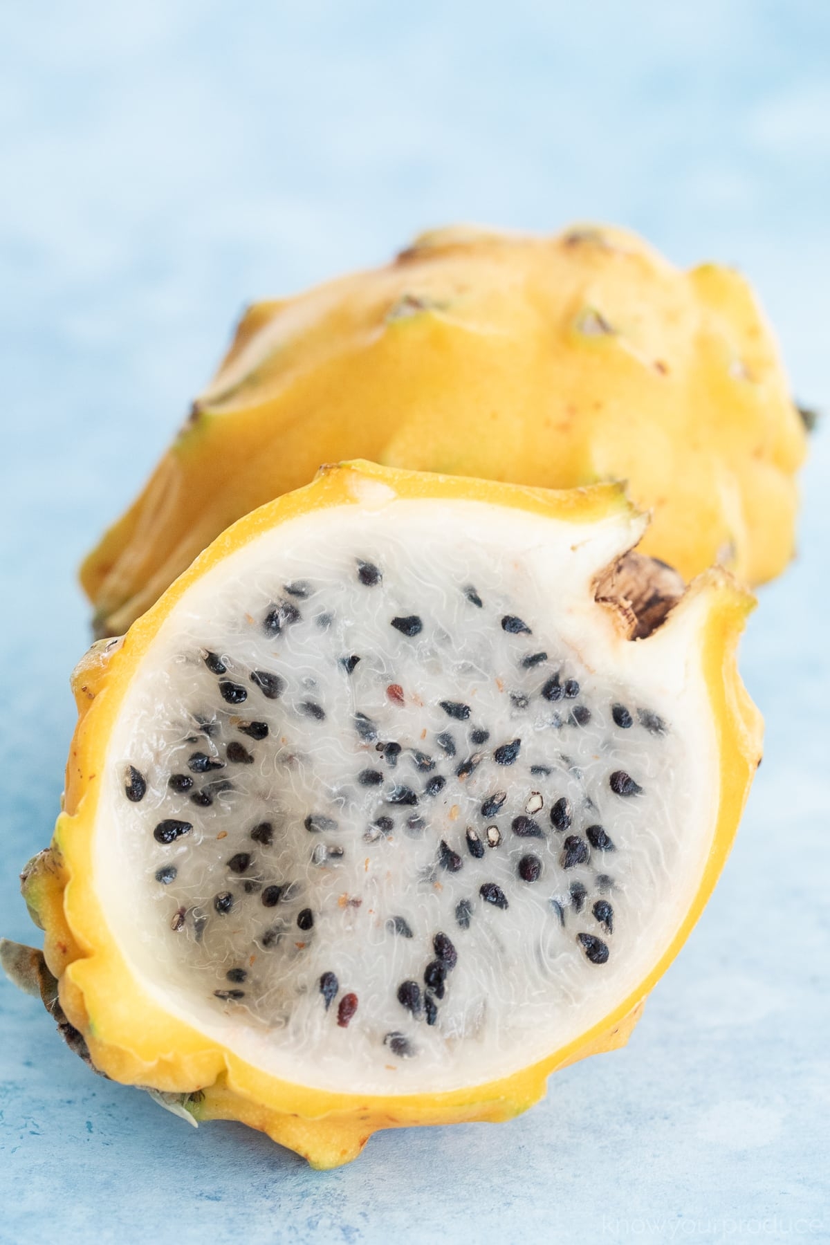 dragon fruit pictures
