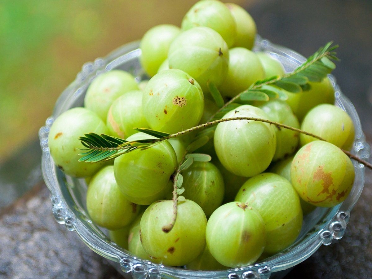 Indian Gooseberry Or Amla Know The Calorie Count Health Benefits Of The Popular Fruit Health Tips And News