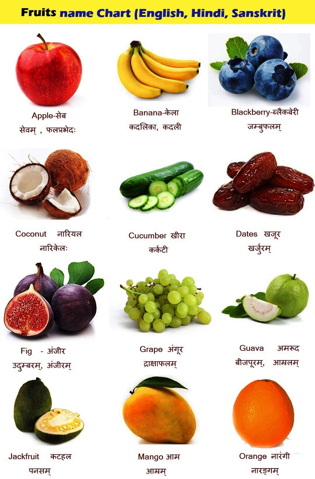 fruit name with picture