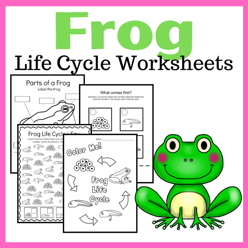 Life Cycle Of A Frog Printable