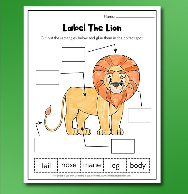 Lion Worksheets For Kids Free Printable