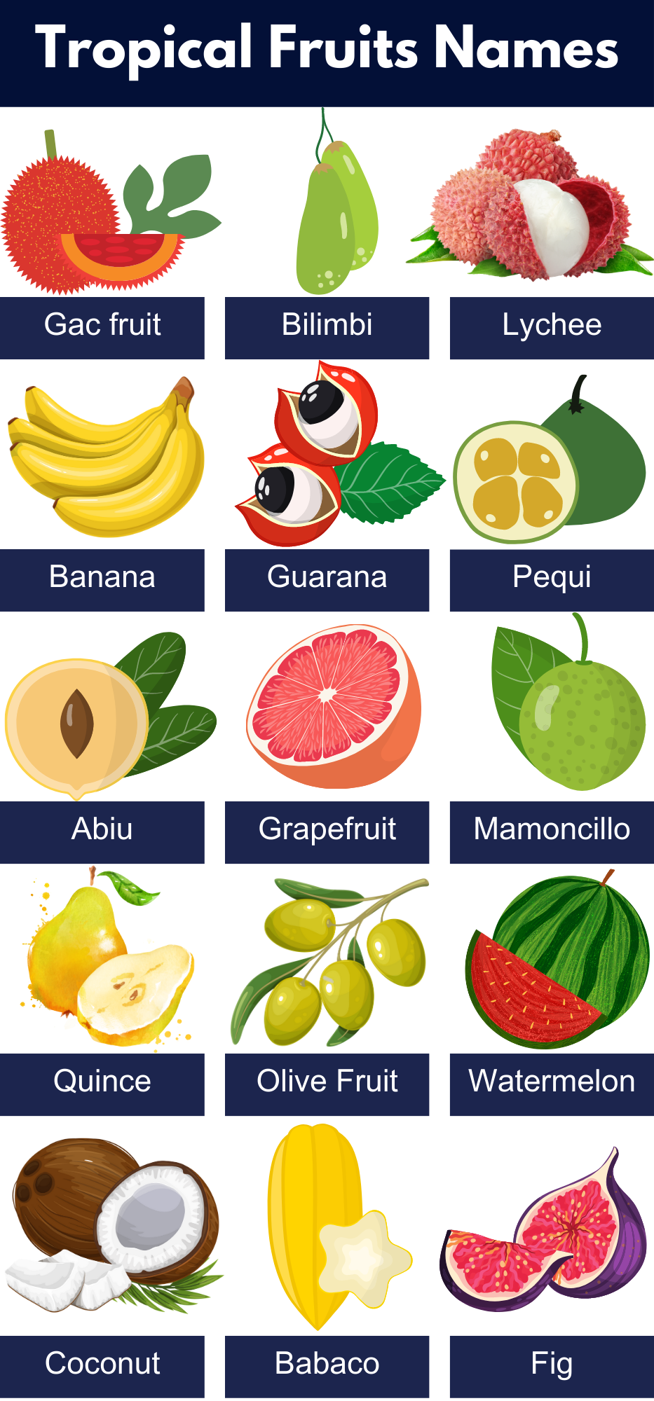 50 fruits name with picture