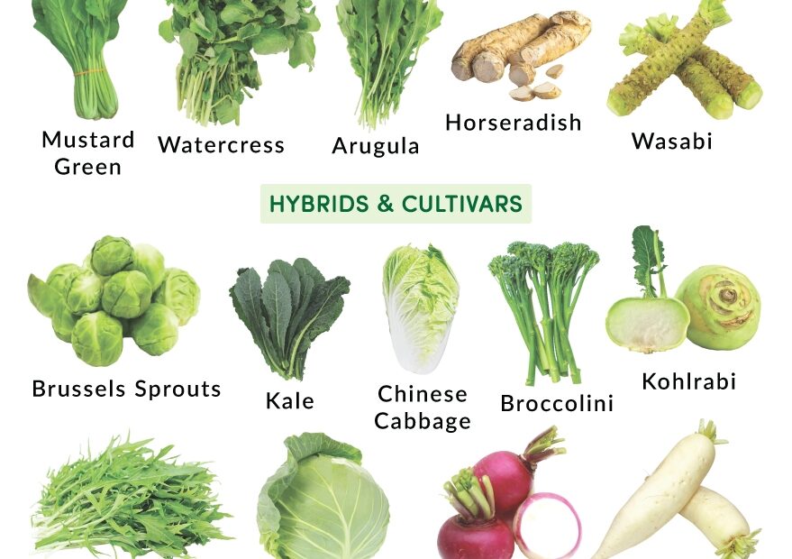 List Of Cruciferous Vegetables With Pictures