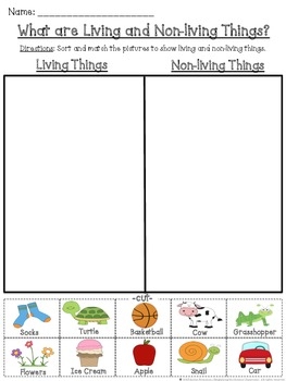 Living And Non living Things Cut And Paste Sorting Activity TPT