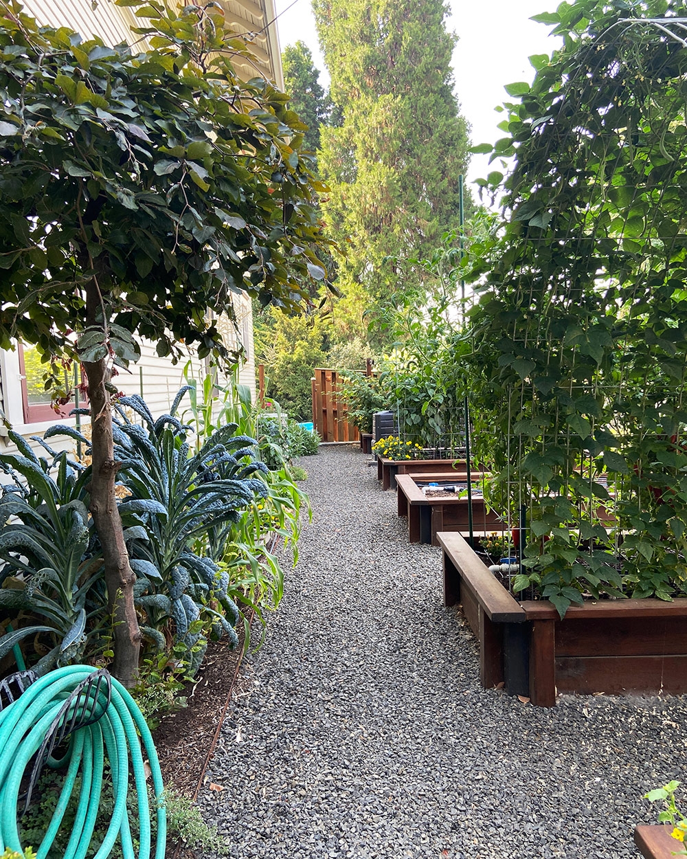 fruit garden pictures