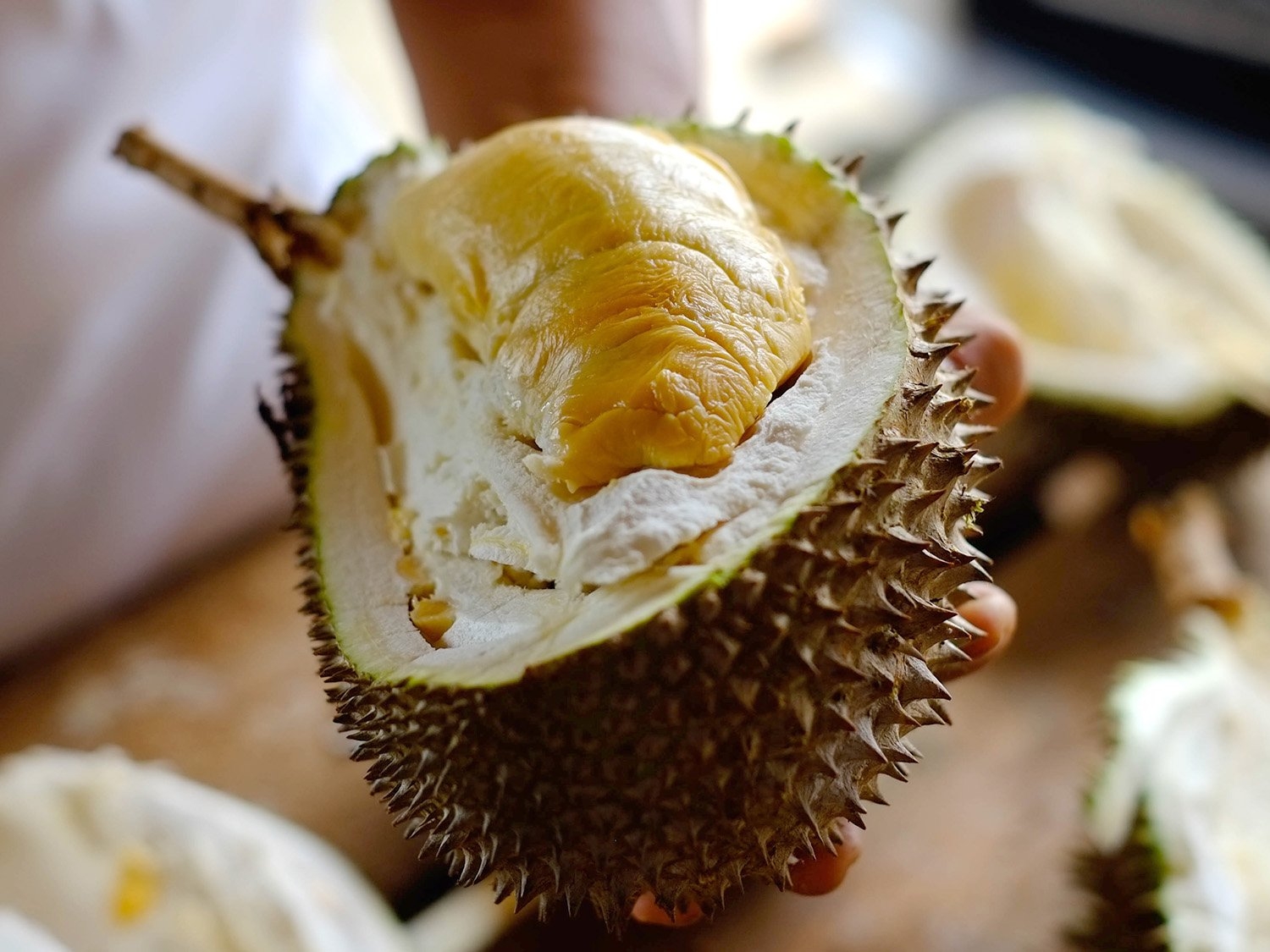 fruit durian pictures