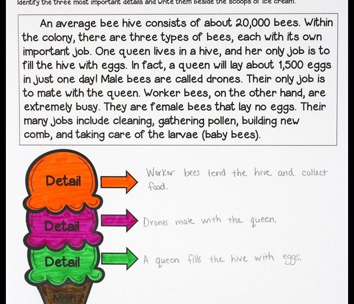 Main Idea And Details Worksheets 3rd Grade