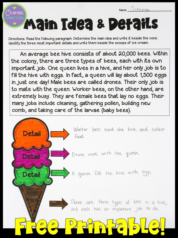 Main Idea And Details Worksheets 3rd Grade