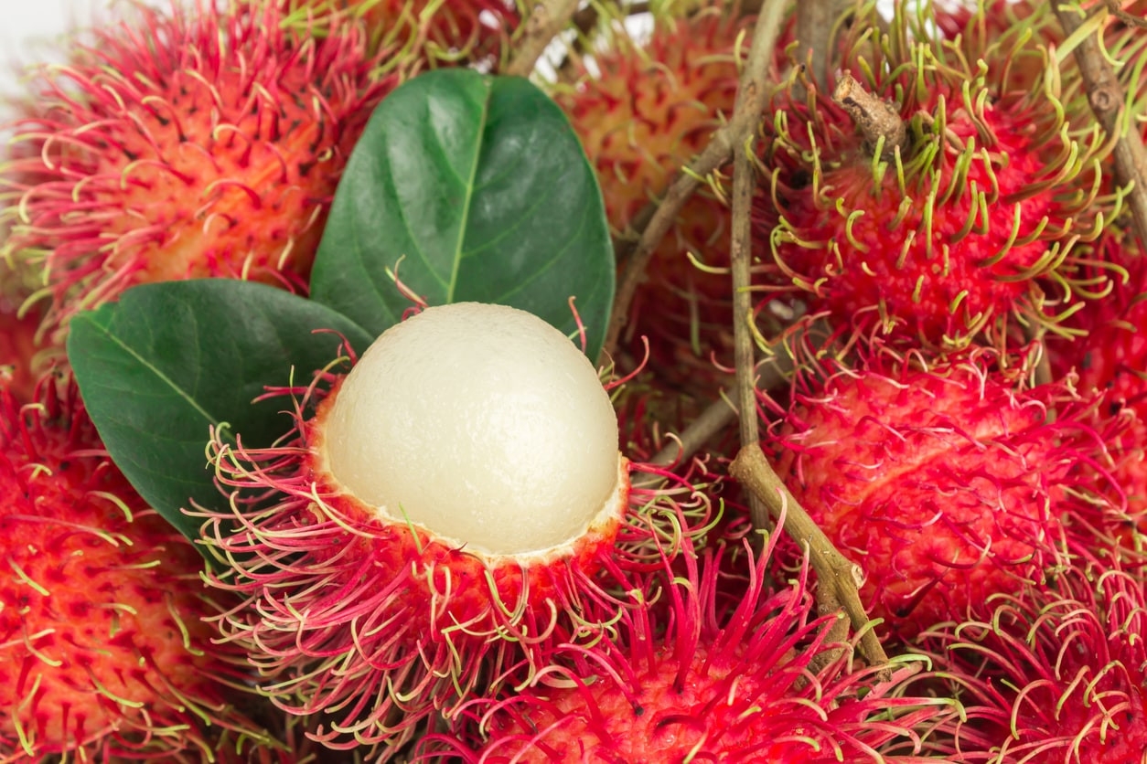Manfaat Buah Rambutan Dan Kandungan Gizinya HonestDocs