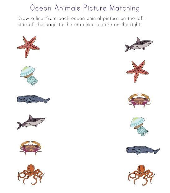 Ocean Animal Printables Preschool